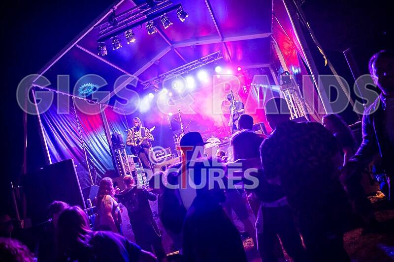 To the Woods-451 - TO THE WOODS