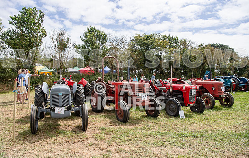 Guernsey Agricultural Show 2021-84 - GUERNSEY AGRICULTURAL SHOW 2021