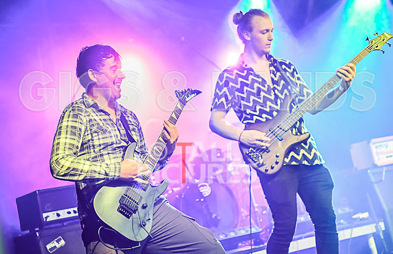 Granite Wolf-24 - GRANITE WOLF