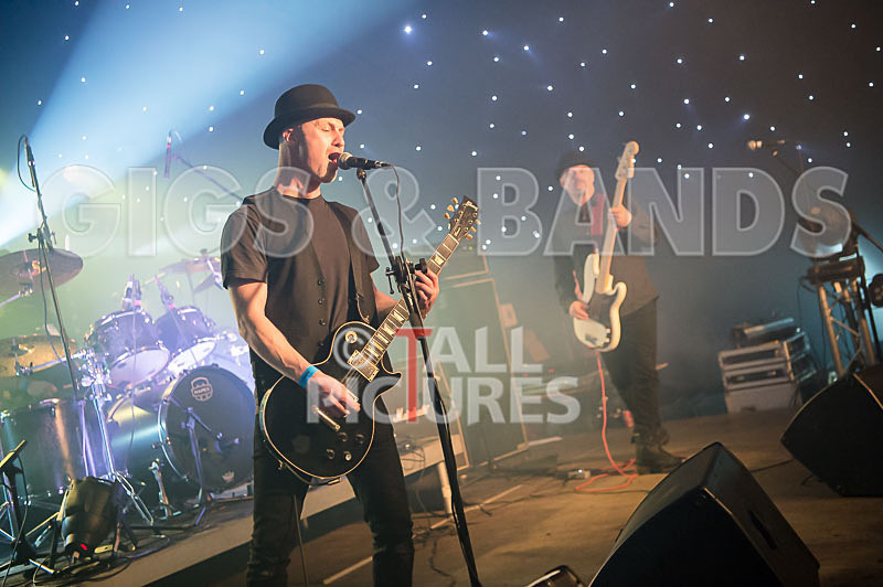 Peppered Ant Legs-187 - PEPPERED ANT LEGS