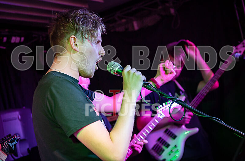 Pigeon Bomb-1 - PIGEON BOMB