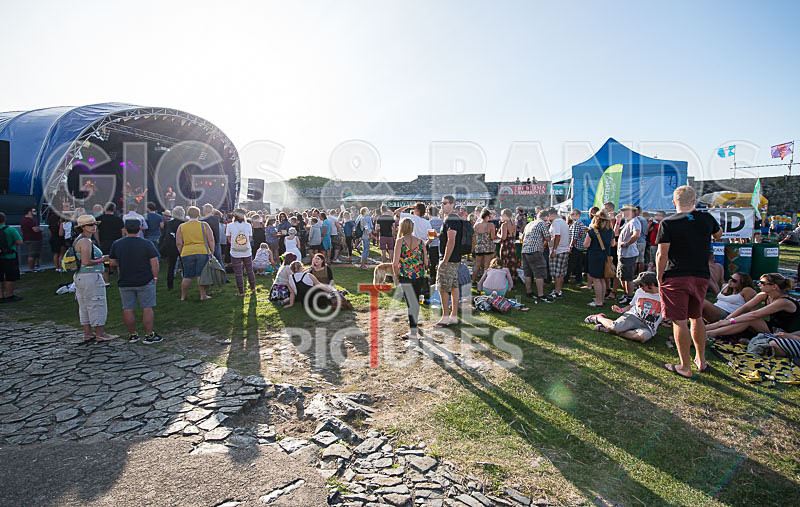 Vale Earth Fair 2017_SCENE-38 - VALE EARTH FAIR 2017_THE SCENE