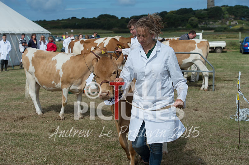 West Show_2014-20 - THE WEST SHOW 2014