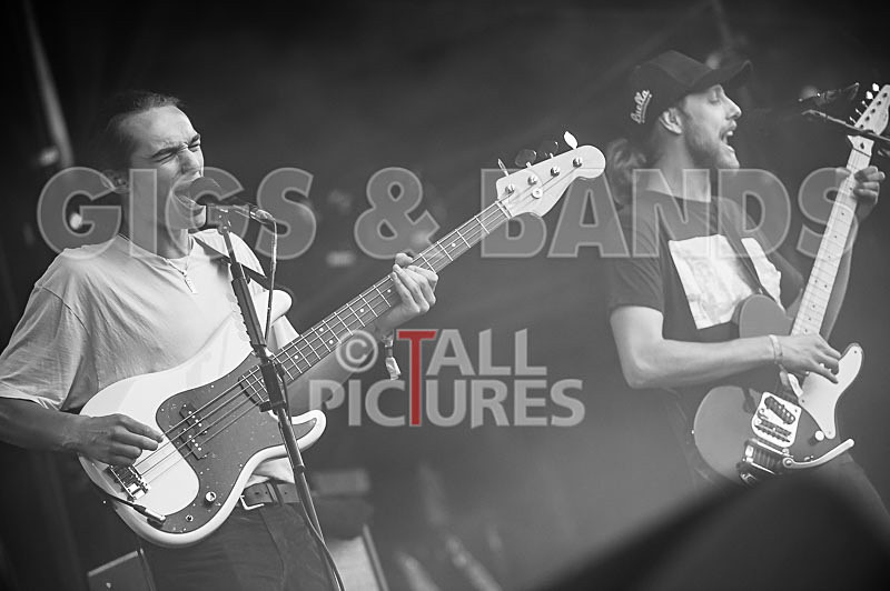 Spring King-3 - SPRING KING