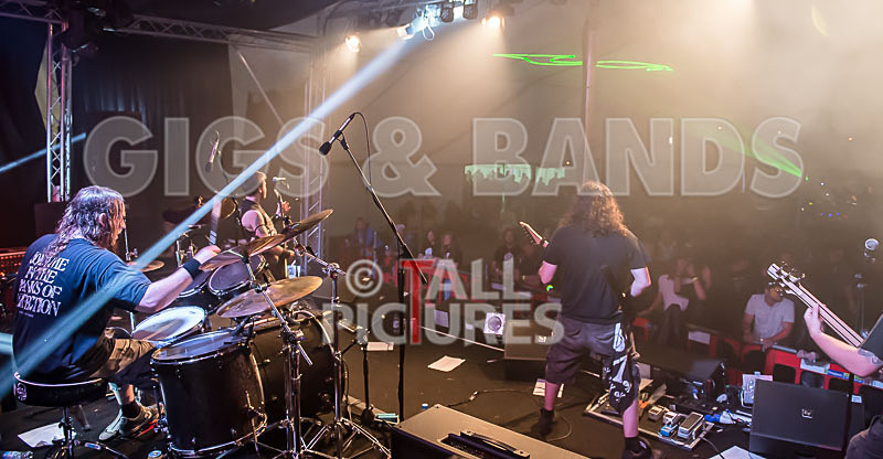 Demise of Sanity-37 - DEMISE OF SANITY