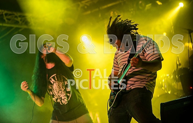 Stan Smith-50 - STAN SMITH