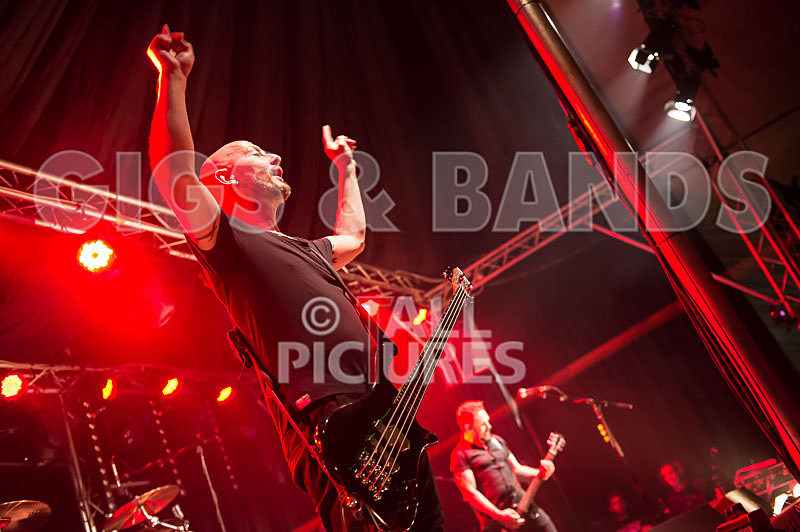 Therapy--39 - THERAPY?