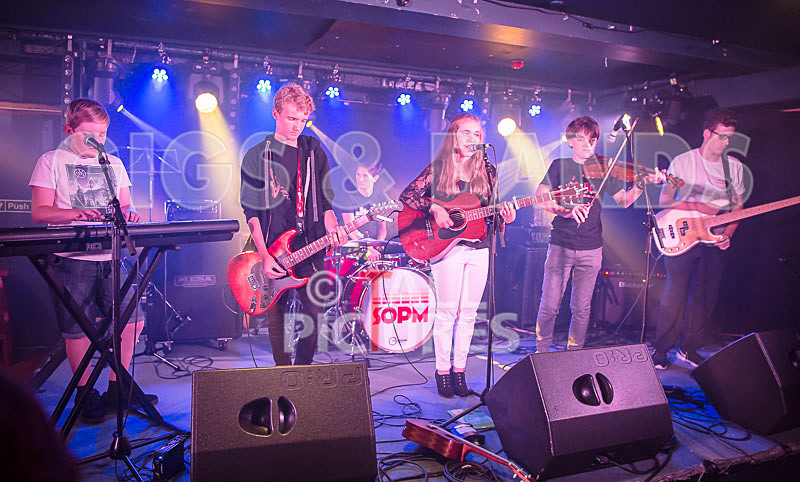 Lady and the Tramps-11 - LADY AND THE TRAMPS