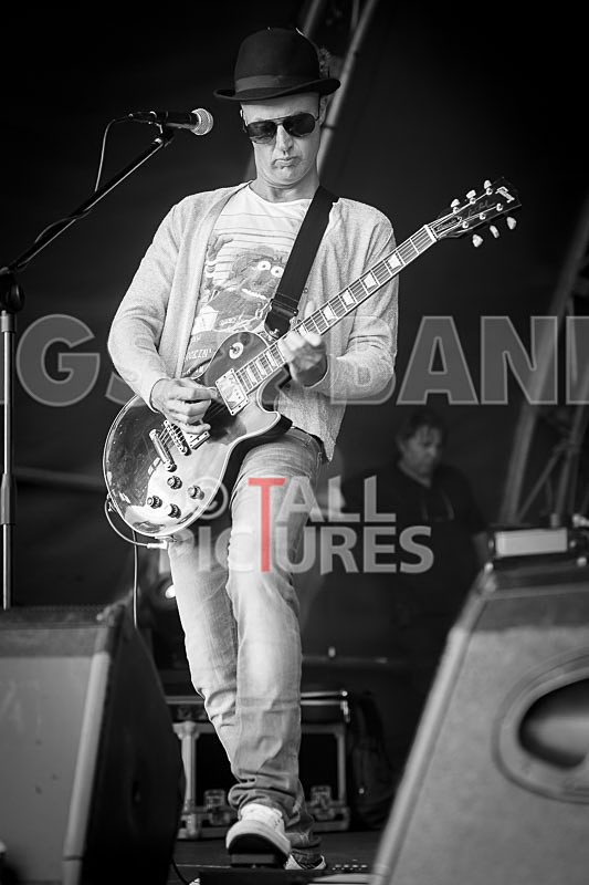 Peppered Ant Legs-245 - PEPPERED ANT LEGS