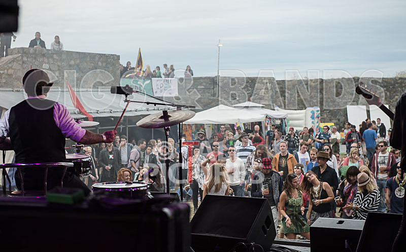 Vale Earth Fair_Atmosphere_2014-78 - VALE EARTH FAIR 2014 - THE ATMOSPHERE