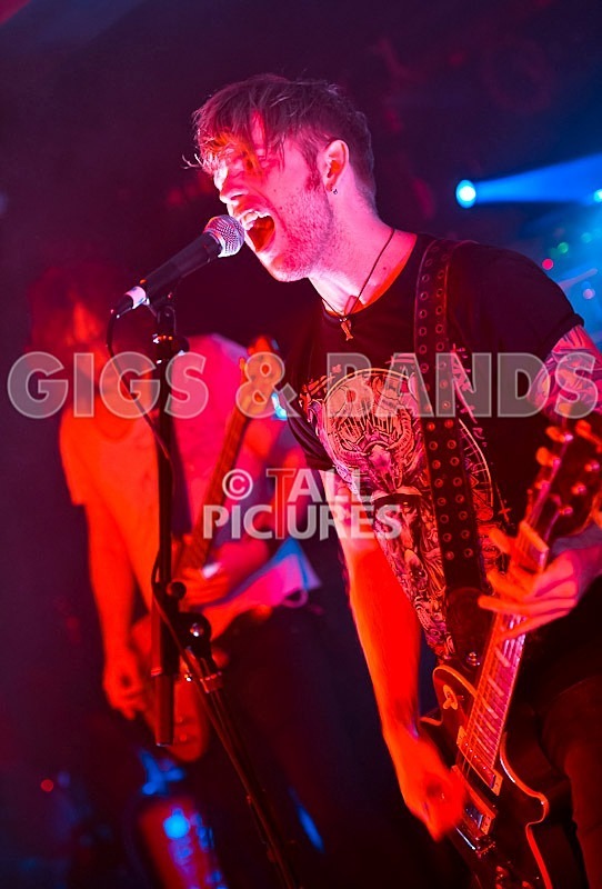 The Crave-18 - THE CRAVE