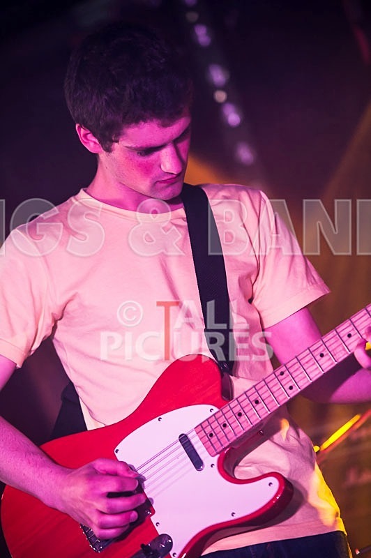 China Aster-113 - CHINA ASTER