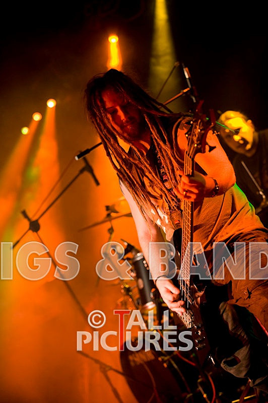 Maiden Guernsey-51 - MAIDEN GUERNSEY at RoA-2