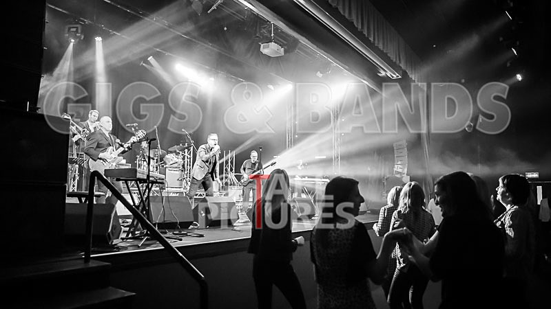 Harry Dean Junior and the New Breed-21 - HARRY DEAN JUNIOR AND THE NEW BREED