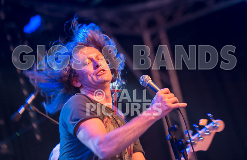 Rat Salad-12 - RAT SALAD