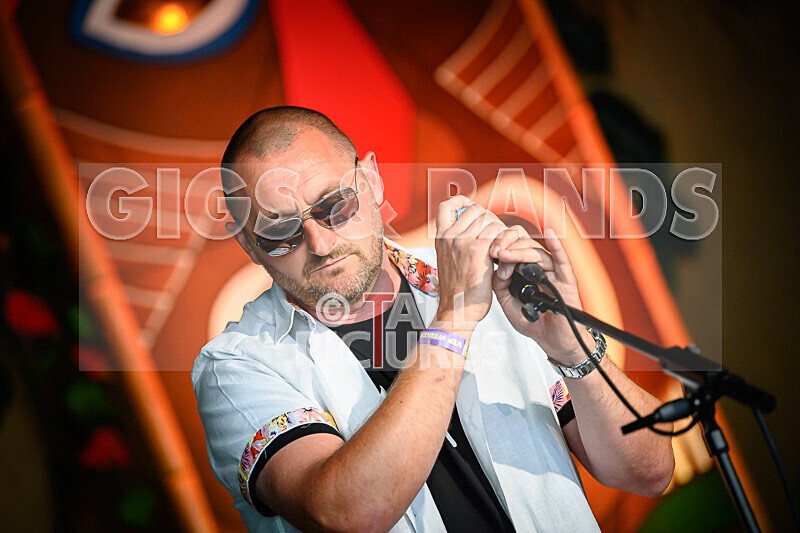 Arctic Donkeys-8 - ARCTIC DONKEYS