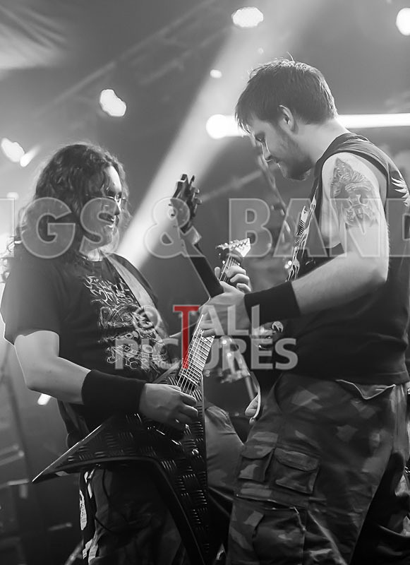 Demise of Sanity-43 - DEMISE OF SANITY