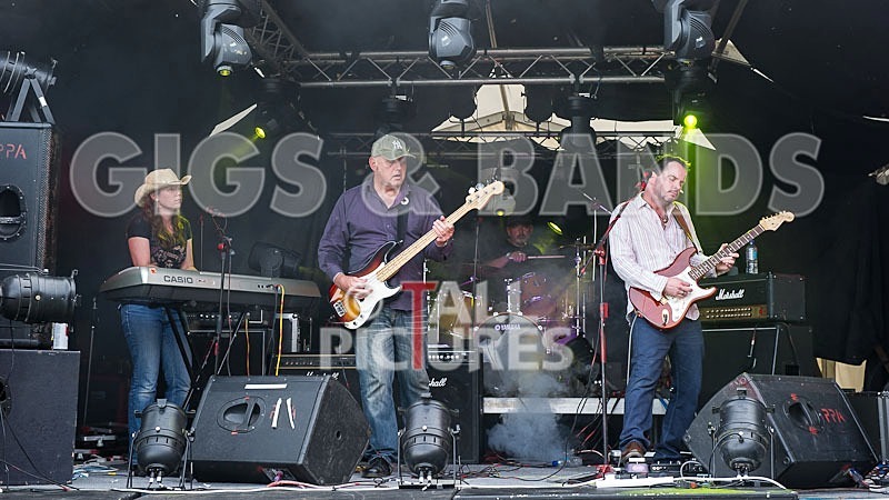 Wild Card-123 - WILD CARD