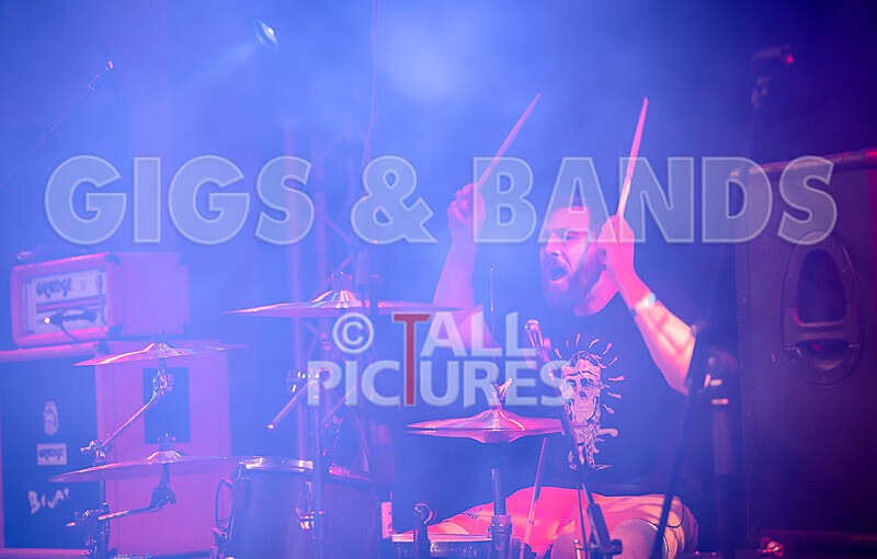 Pigsx7-17 - PIGS PIGS PIGS PIGS PIGS PIGS PIGS