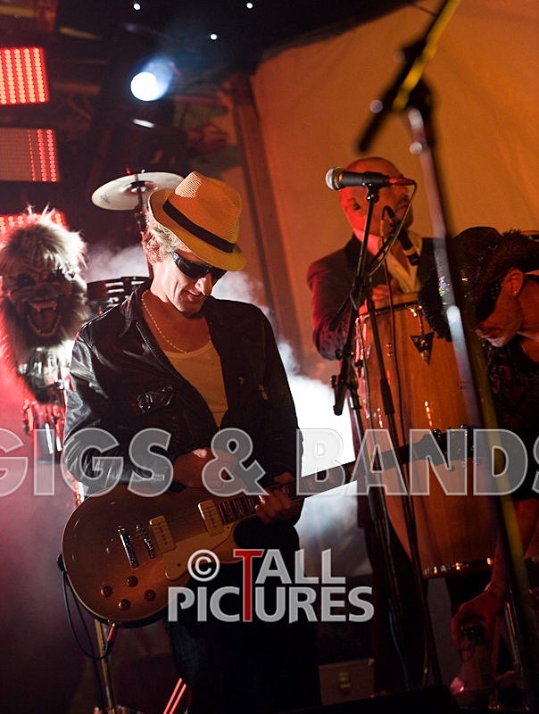 Vale-Earth-88 - VALE EARTH FAIR 2008