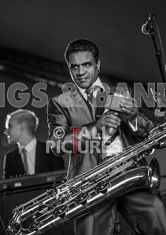 The Selecter-17 - THE SELECTER