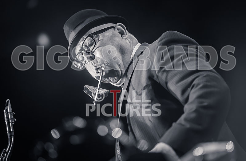 Madness-77 - MADNESS