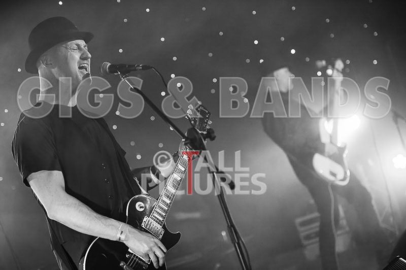 Peppered Ant Legs-156 - PEPPERED ANT LEGS