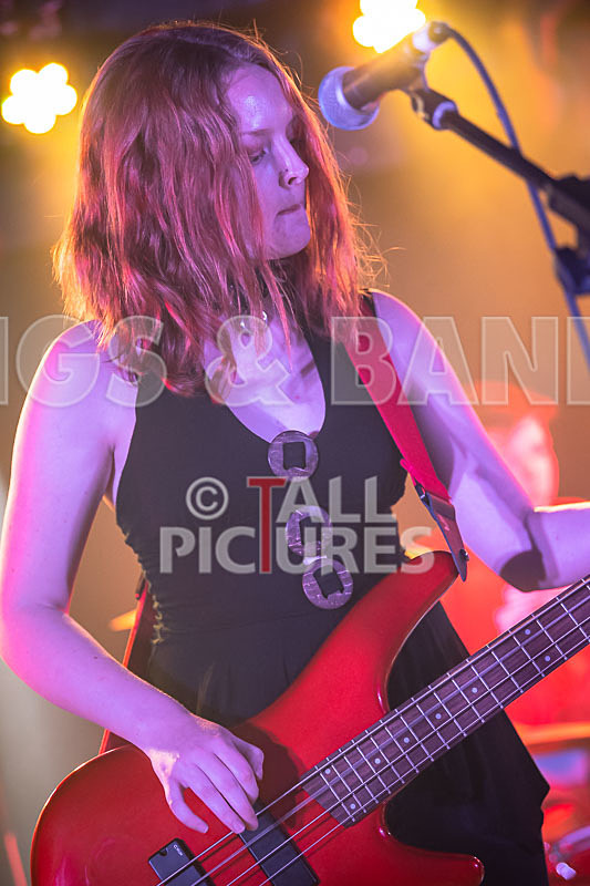 Unconventional Sponge-8 - UNCONVENTIONAL SPONGE