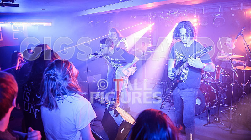 Masticated-1 - MASTICATED