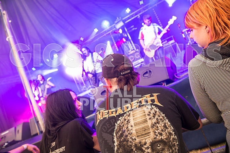 Chaos 2013_Demise of Sanity-10 - DEMISE OF SANITY