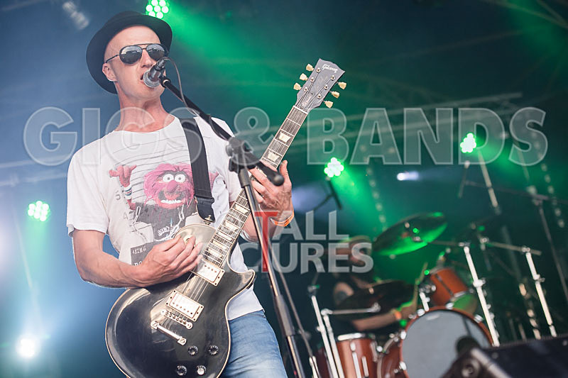 Peppered Ant Legs-261 - PEPPERED ANT LEGS