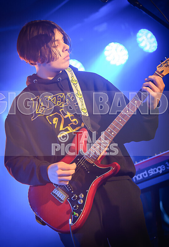 Pixie Pearls-7 - PIXIE PEARLS