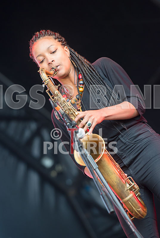 Kiko Bun-9 - KIKO BUN