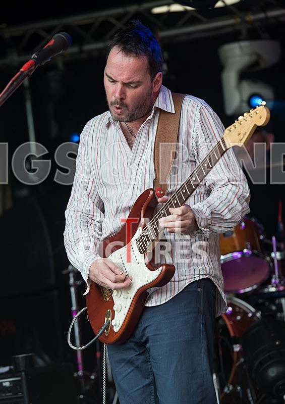 Wild Card-115 - WILD CARD