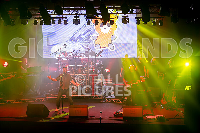 Elysium as Pink Floyd-189 - ELYSIUM as PINK FLOYD