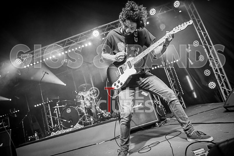 Static Alice-431 - STATIC ALICE