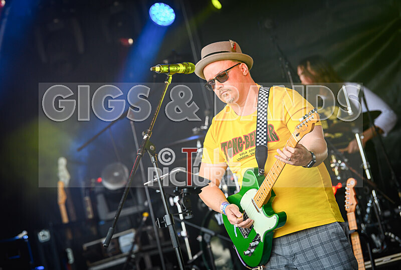 Neon Fire-18 - NEON FIRE