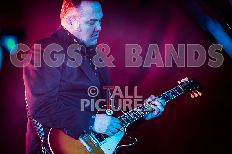 The Risk-282 - THE RISK