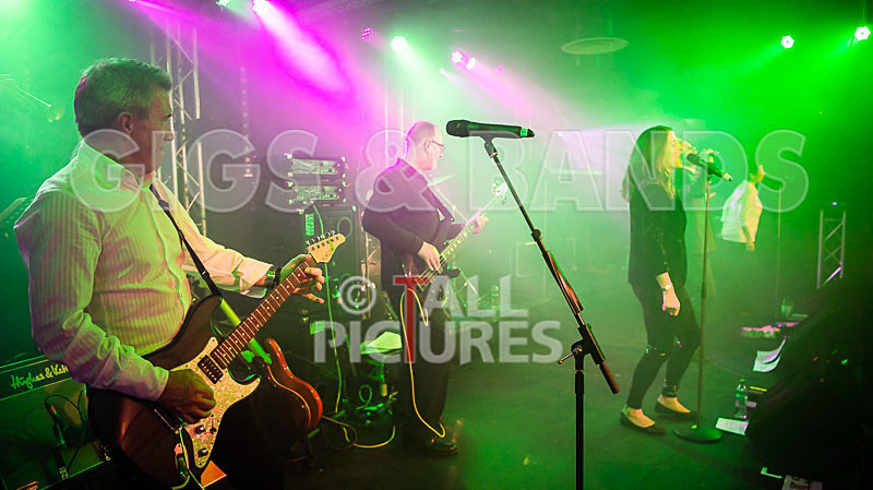 King Rat  the Soul Cats-324 - KING RAT AND THE SOUL CATS