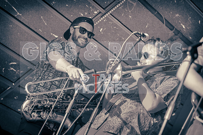 Pam Bindi-3 - PAM BINDI