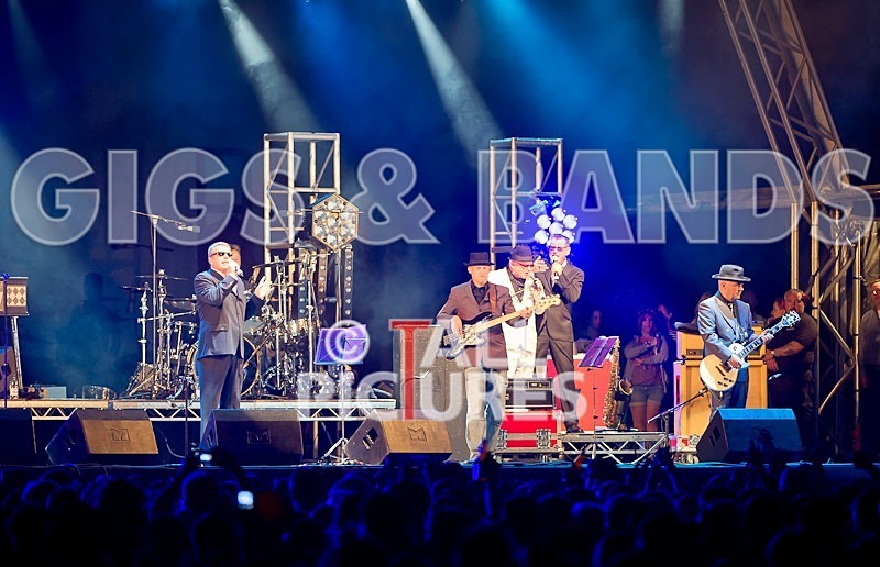 Madness-24 - MADNESS