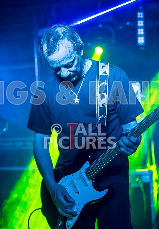 Elysium-255 - ELYSIUM