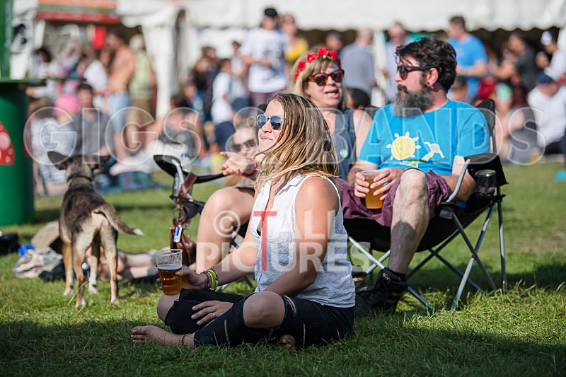 Vale Earth Fair 2017_SCENE-43 - VALE EARTH FAIR 2017_THE SCENE