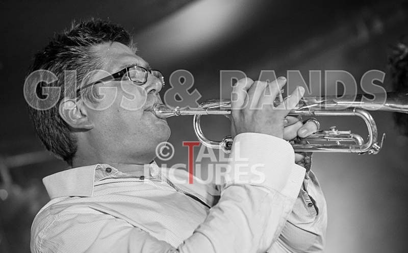Ray and the Guns-24 - RAY AND THE GUNS