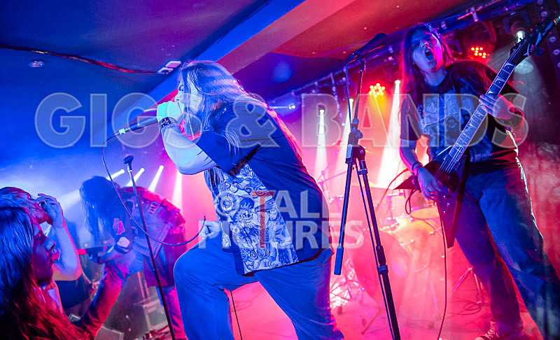 Stone Em All-164 - STONE EM ALL