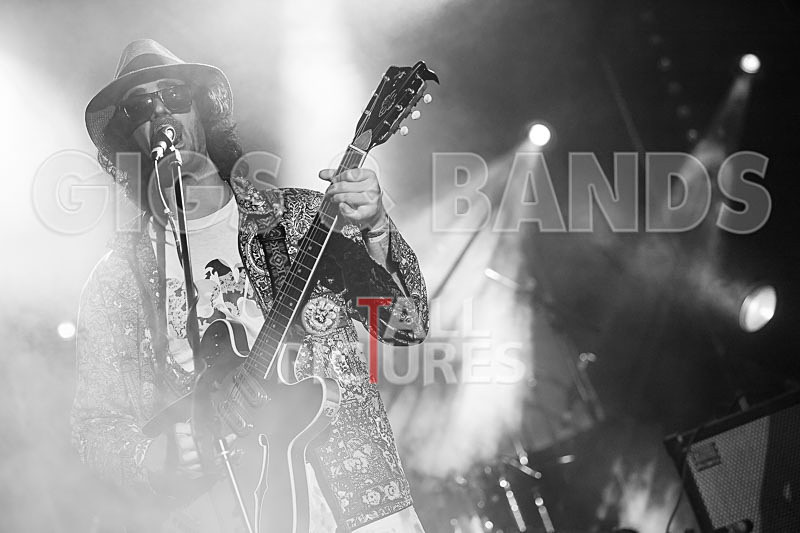 Surfin Birds-18 - SURFIN' BIRDS