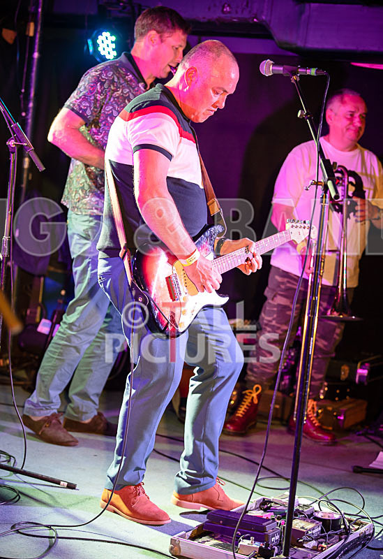 The Risk-361 - THE RISK