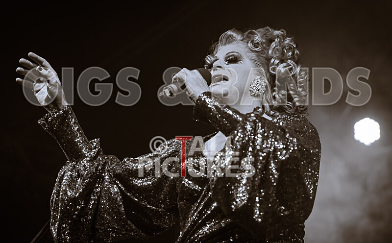 Vale Earth Fair 2020_THE SCENE-98 - VALE EARTH FAIR 2020_THE SCENE