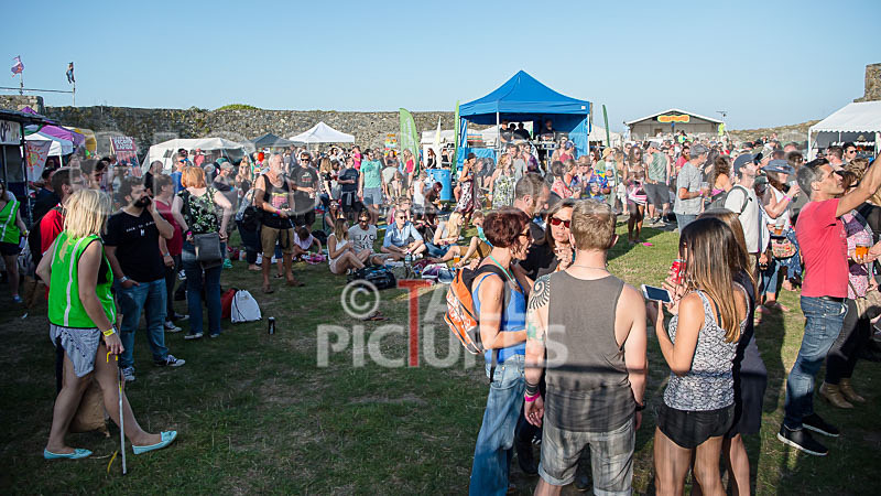 Vale Earth Fair 2017_SCENE-105 - VALE EARTH FAIR 2017_THE SCENE