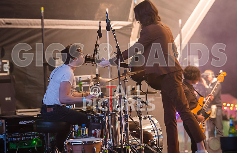 Blossoms-7 - BLOSSOMS